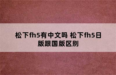 松下fh5有中文吗 松下fh5日版跟国版区别